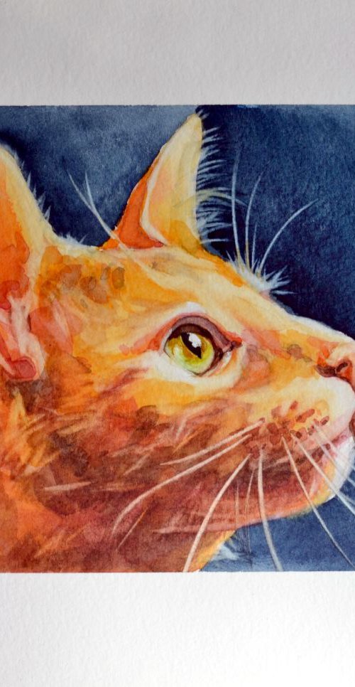 Red cat by Irina Ushakova
