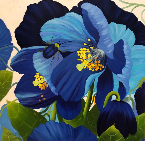 ‘Blue Poppies’ by Fiona Taylor