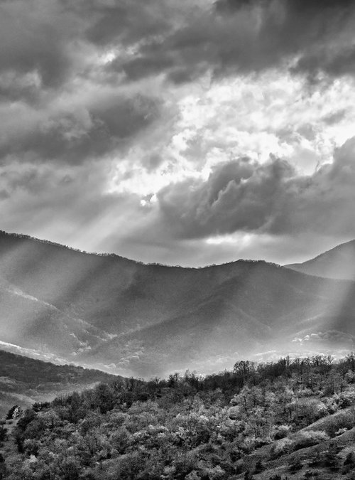 Where the Light Falls by Vlad Durniev