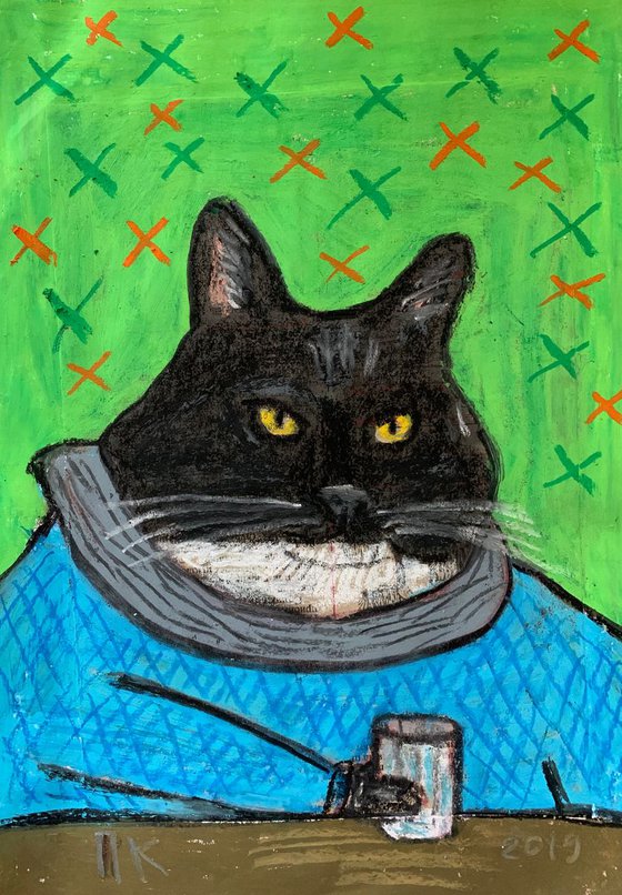Drinking cat #17
