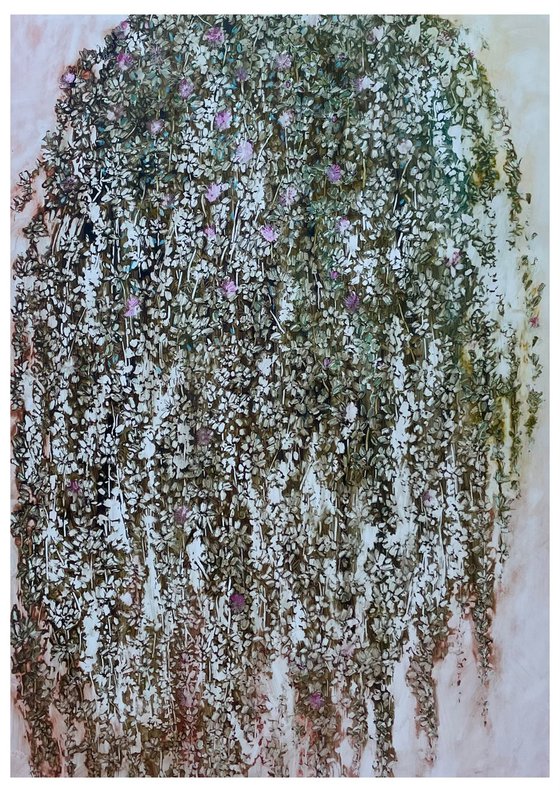 DROSANTHEMUM FLORIBUNDUM II