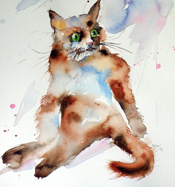 Resting cat