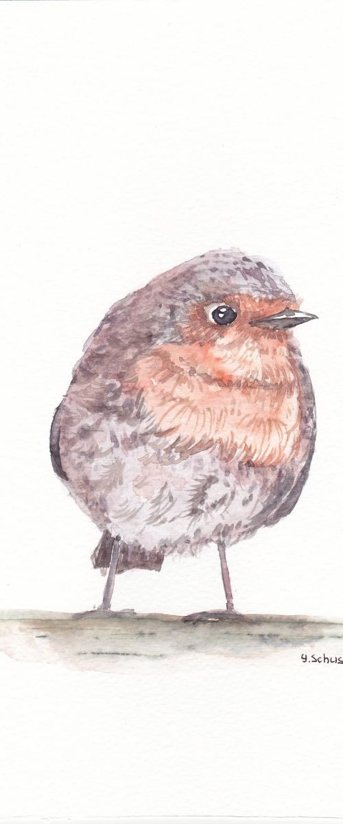 birds portrait by Yulia Schuster