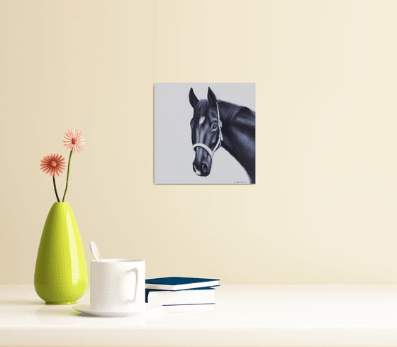 Horse Portrait 22