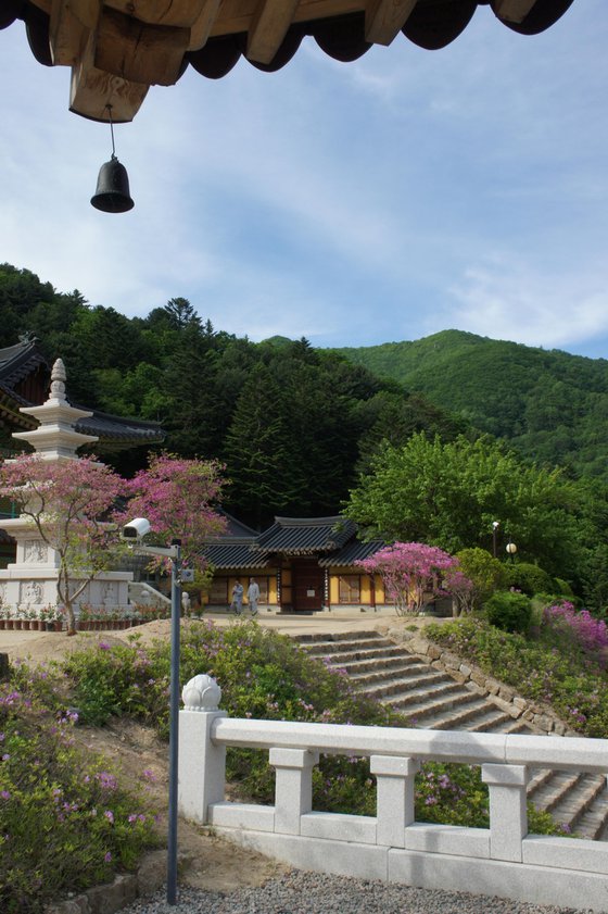 A Small Bell Frames the Mountain