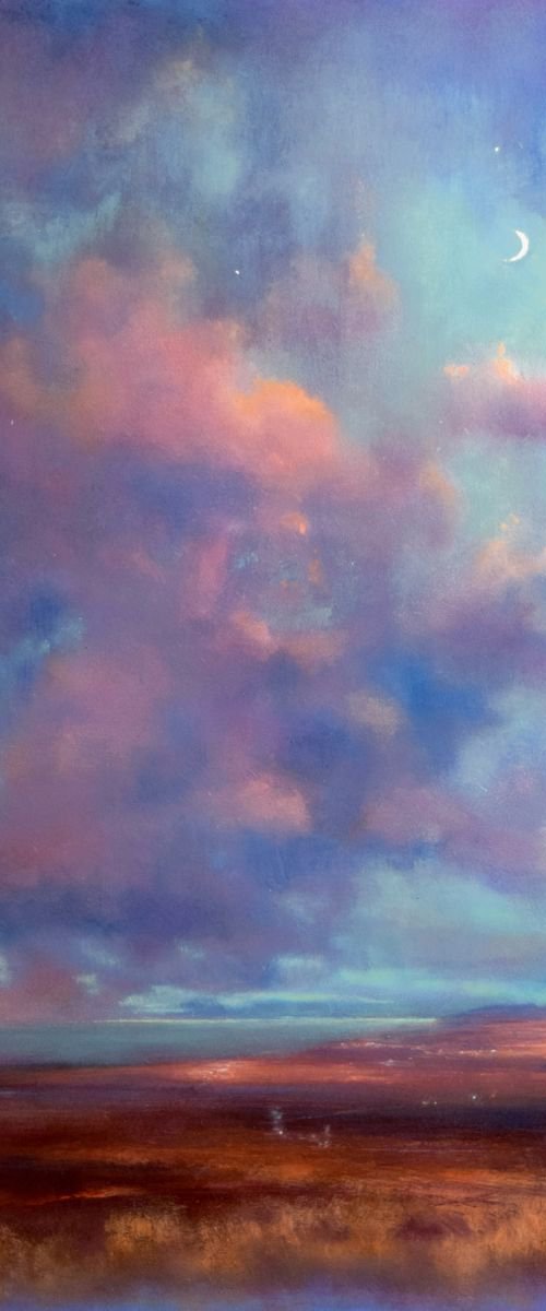 Evening Glow across the Bog by John O'Grady