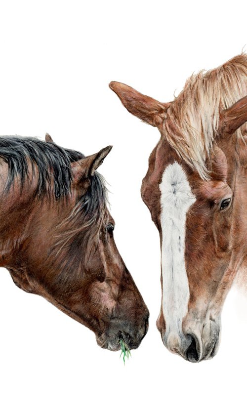 Eye to eye by Annika Schmitt