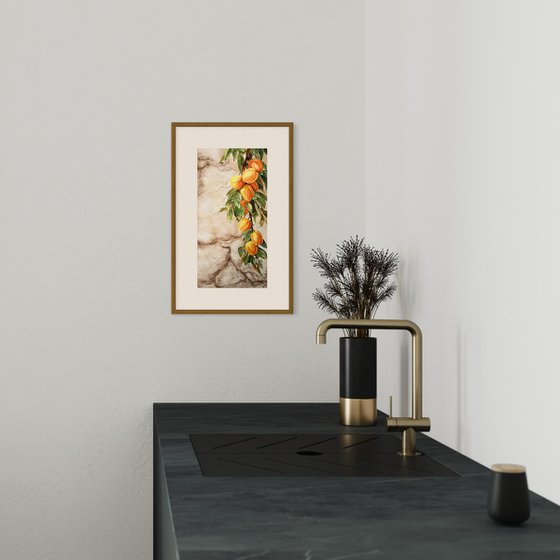 Whispers Through the Wall – Apricots