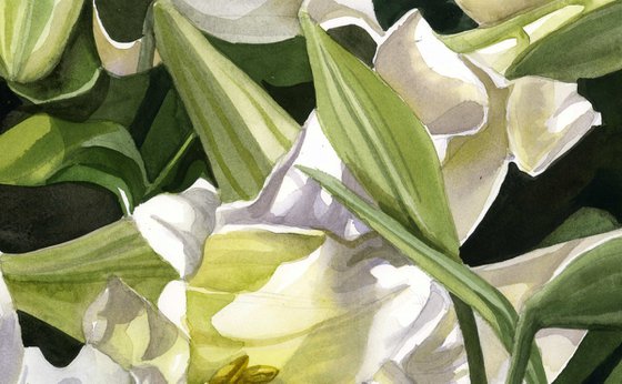 easter lilies watercolor floral