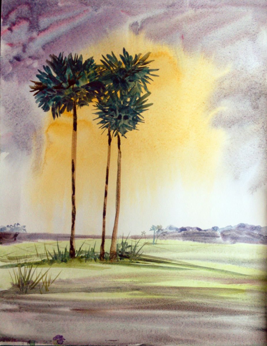 Palm Trees Watercolor painting of Sunset Palms-2 (10.50x 13.50) by Asha Shenoy
