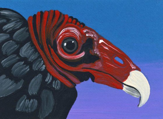 ACEO ATC Original Miniature Painting Turkey Vulture Wildlife Bird Art-Carla Smale