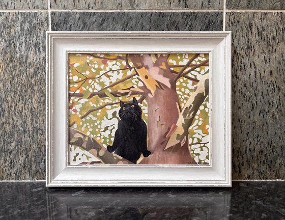 Cat In The Tree