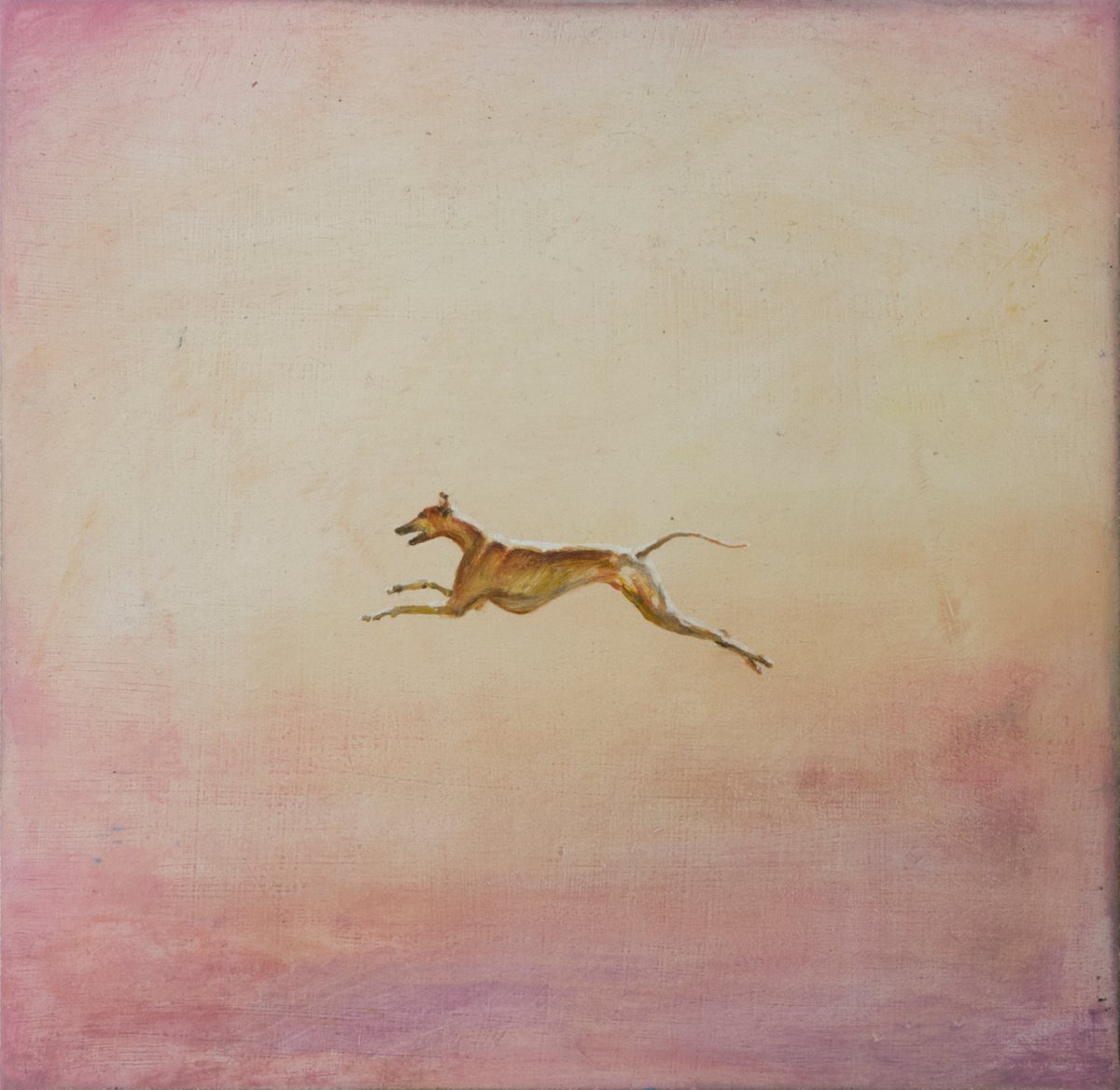 Leap into the sky by Lisa Braun