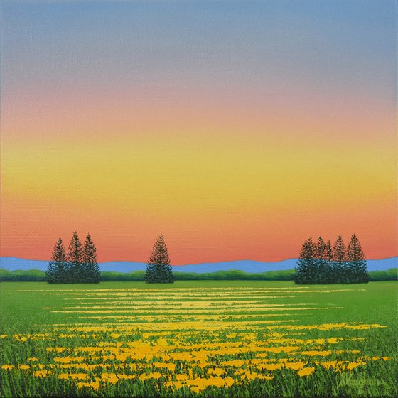Sunshine Flowers