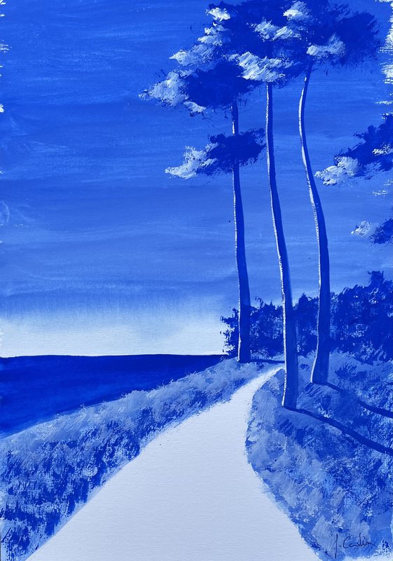 Ultramarine coastal path