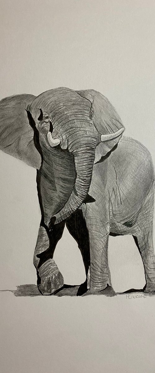 Elephant no. 2 by Maxine Taylor