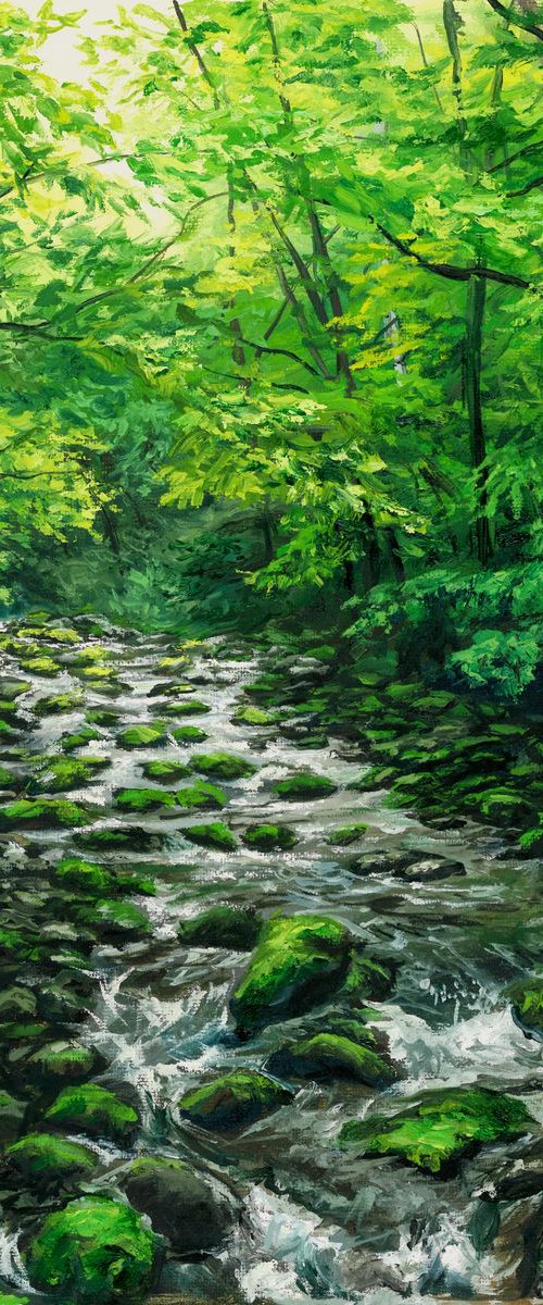 Smoky Mountains Creek by Steph Moraca