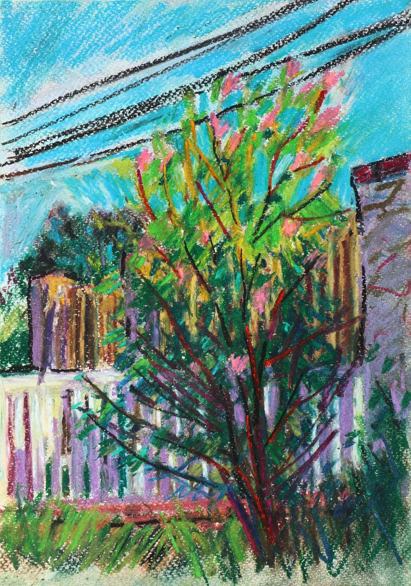 Expressive Cityscapes Pastel Drawing By Dima Braga, 8 X 12, Hibiscus Bush In The Garden, Original Artwork