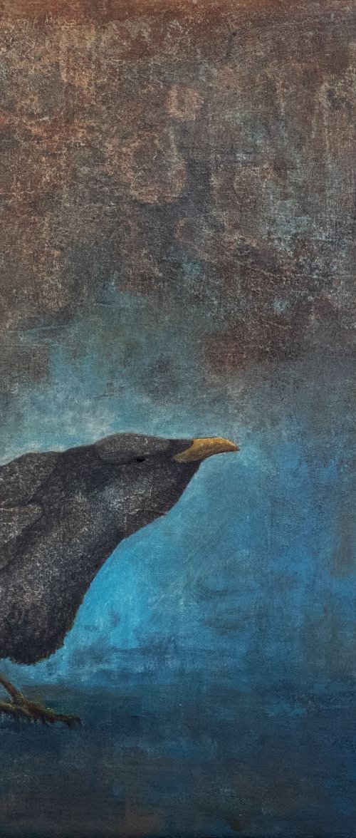 The Illusion Of Free Will by Daniel Stroup