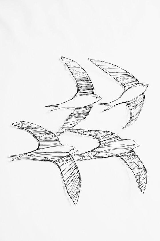 Four swifts in flight