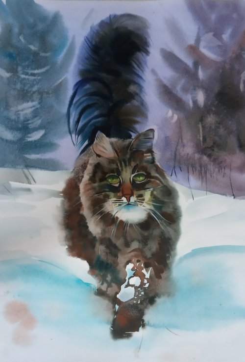 Winter cat by Valentina Kachina