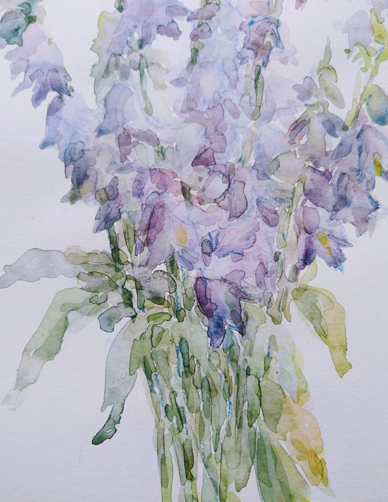 Bellflowers. Original watercolour painting.