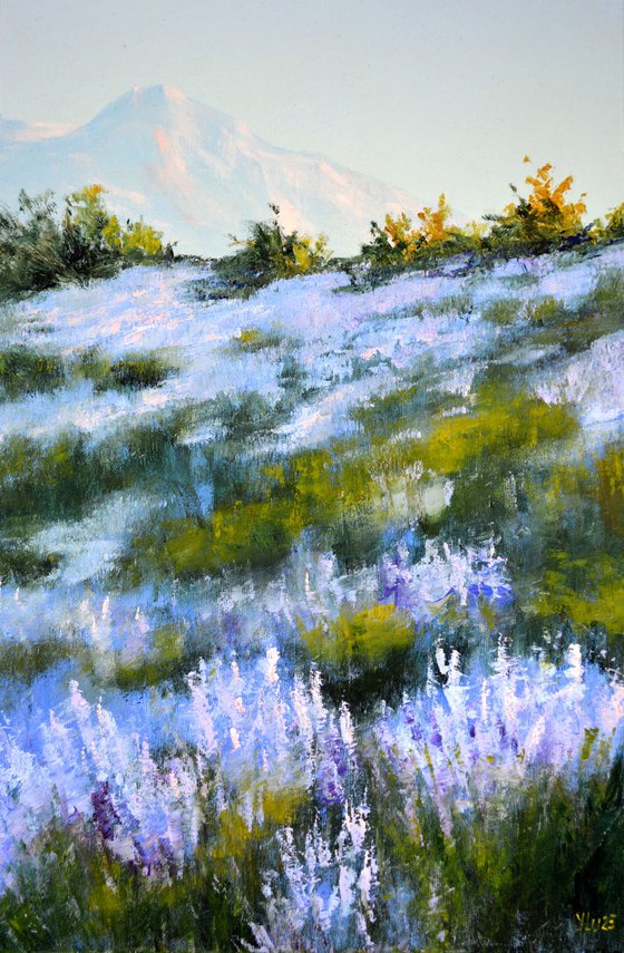 Wild lavender in the haze of the morning sun