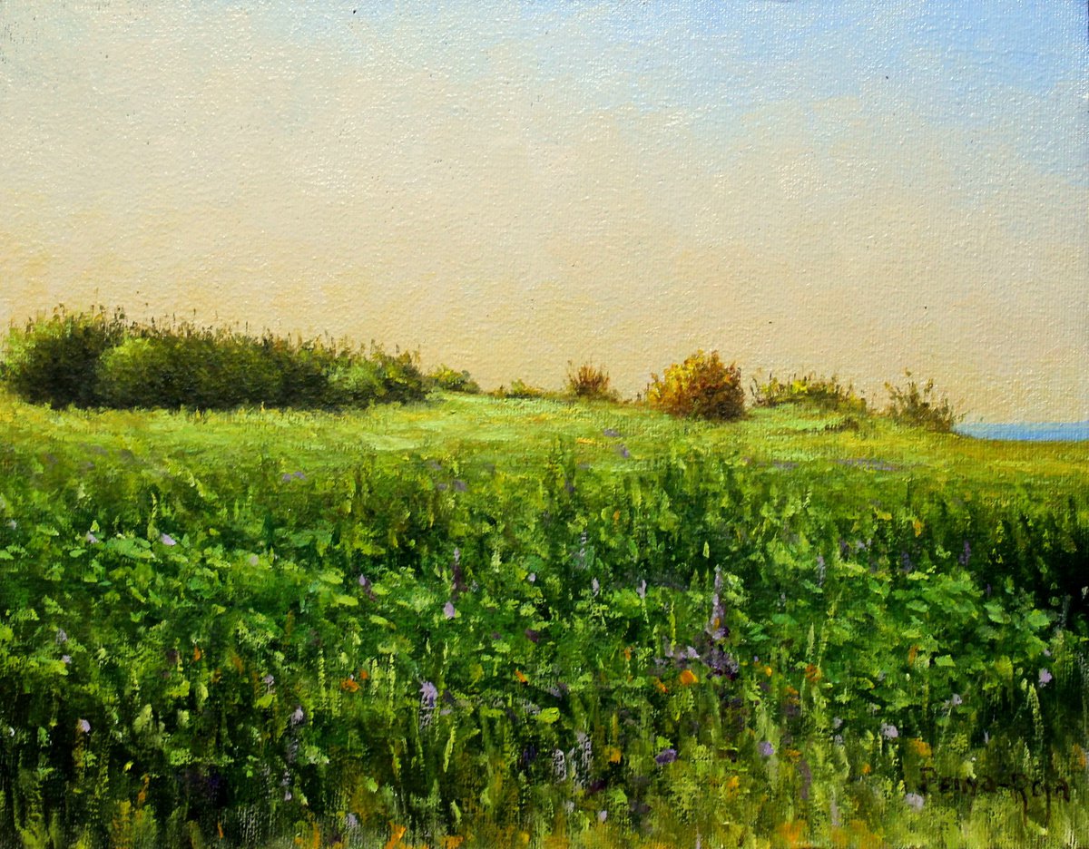 Moncofa Beach landscape by Vicent Penya-Roja