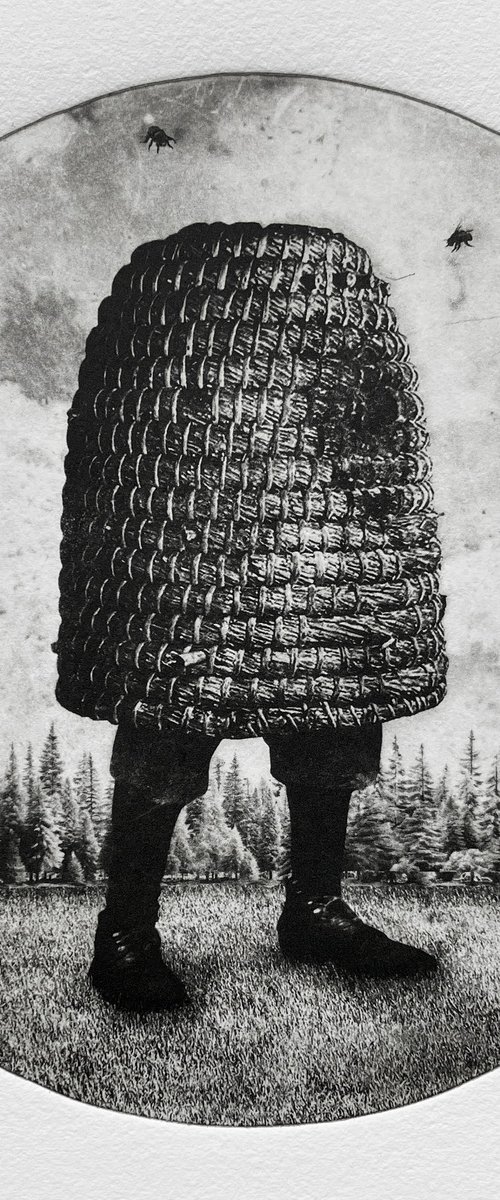 Hive No.4 by Jaco Putker
