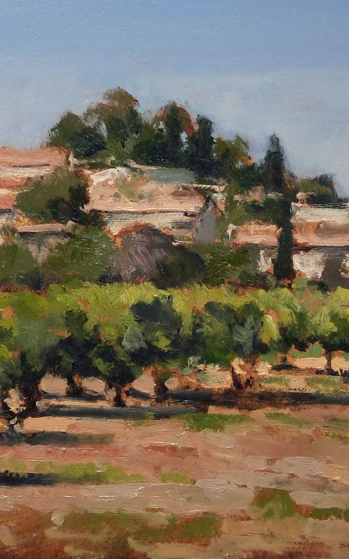 Vineyards in Vaucluse by Pascal Giroud