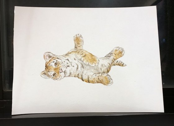 Tiger Original Watercolor Big Cat