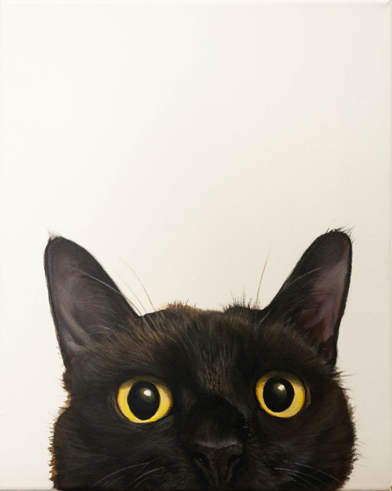 "Curious Eyes | Black Cat Hyperrealism"