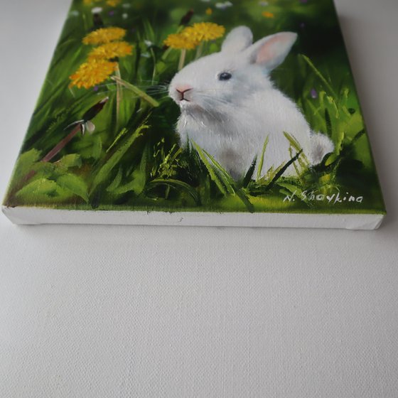 White Rabbit in Dandelions