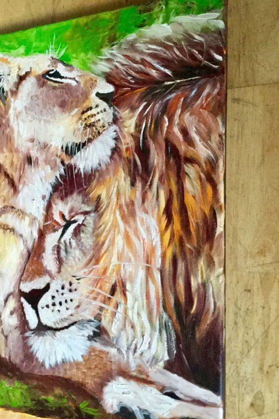 LIONS. HAPPY COUPLE