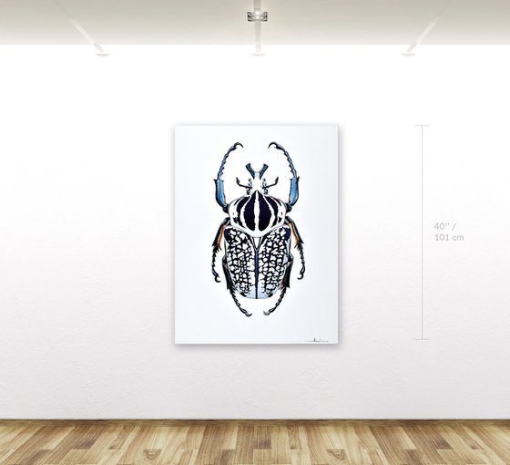 Goliath Beetle #1