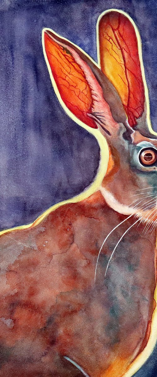 African Jack Rabbit by Catherine Twomey