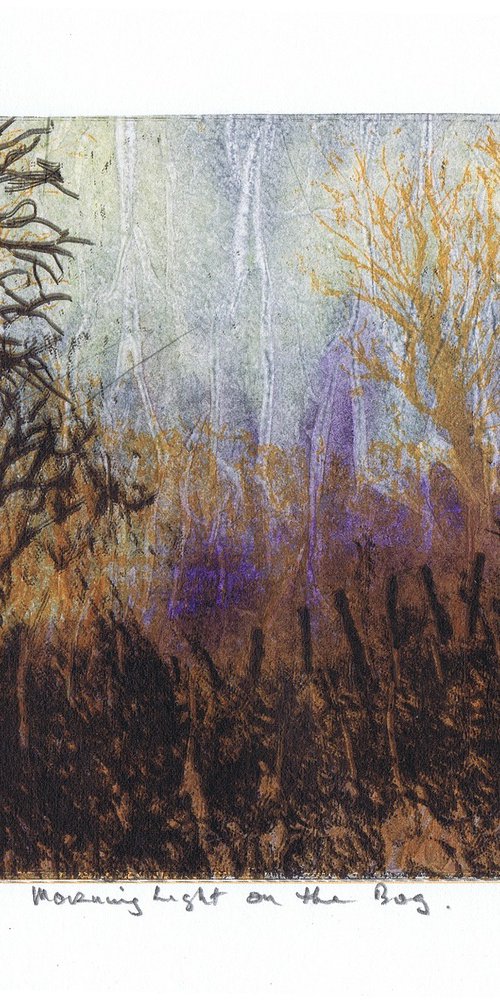 Morning Light on the Bog by Aidan Flanagan Irish Landscapes