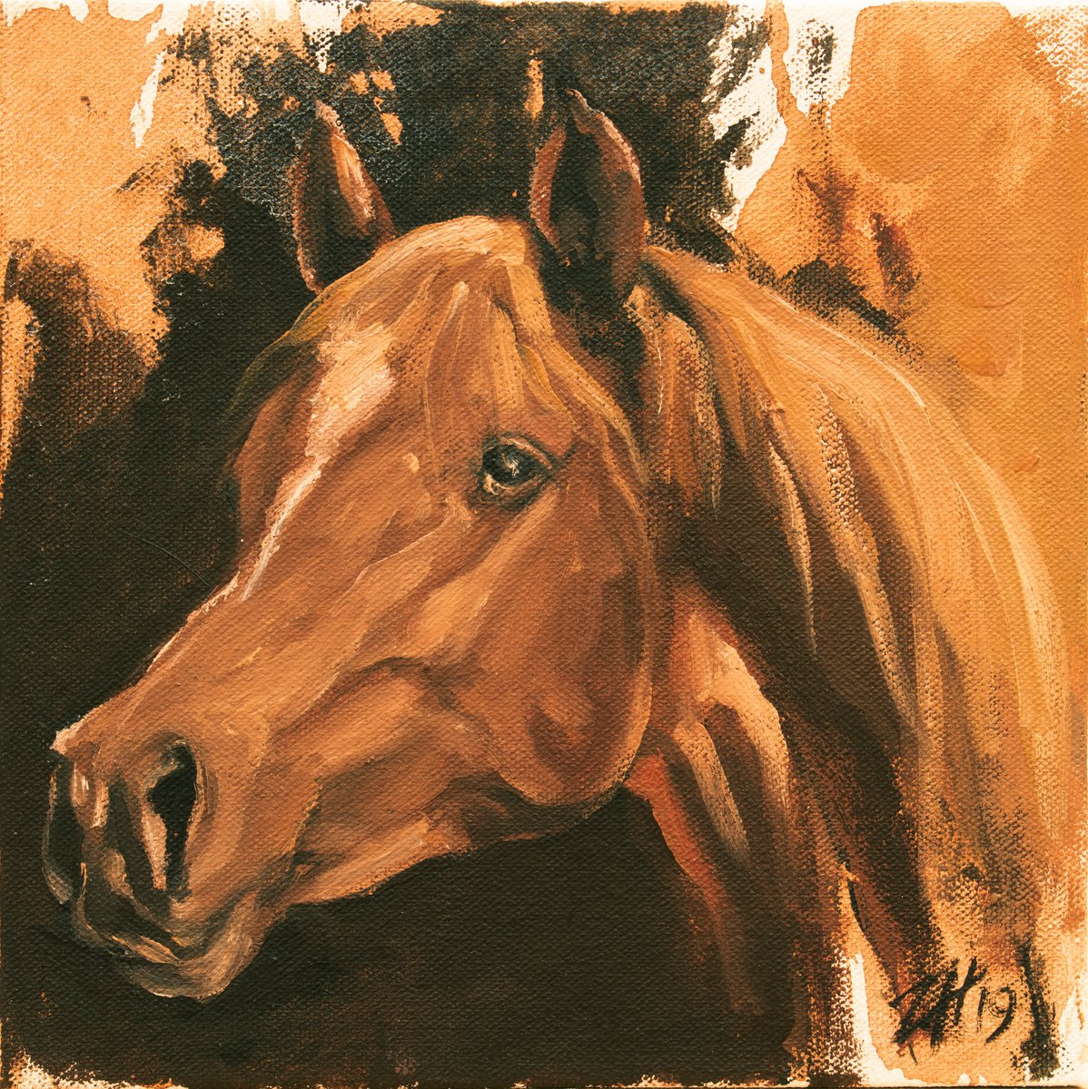 Equine Head Arab Chestnut (study 47) by Zil Hoque