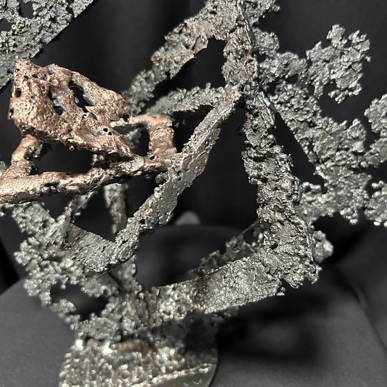 The Squares of the Secret