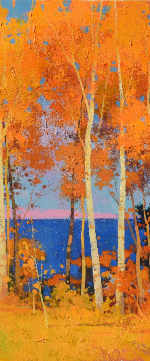 Birch trees forrest 085 by jianzhe chon