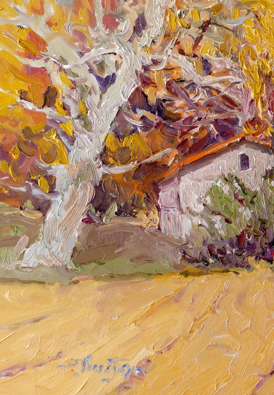 Poplars, Fall
