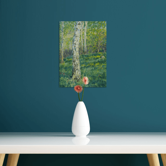 The Sunny Birch Forest