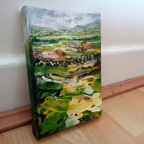 Miniature study Anglesey countryside. landscape, acrylic painting, fields