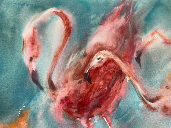 Graceful Run (Flamingos)