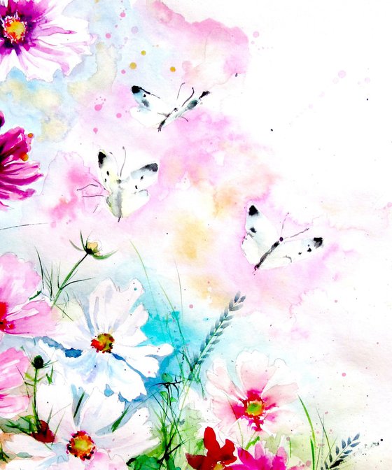 Cosmos flowers