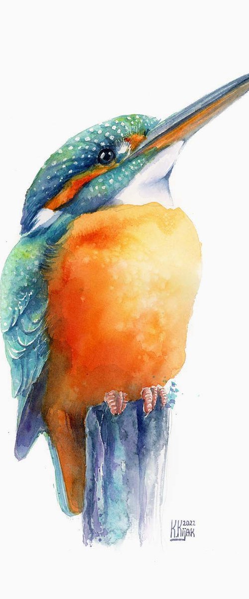 Kingfisher bird by Karolina Kijak