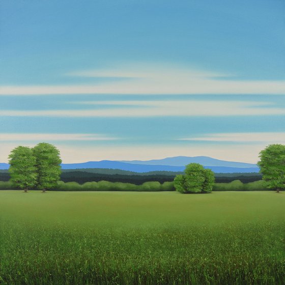 Summer Green Field - Blue Sky
