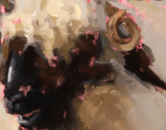 Valais Blacknose Sheep Study