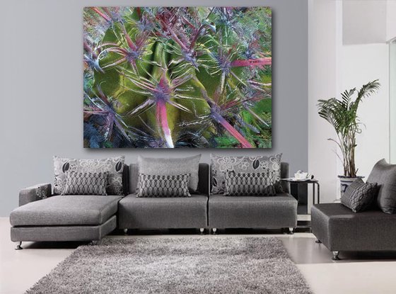 Cactus