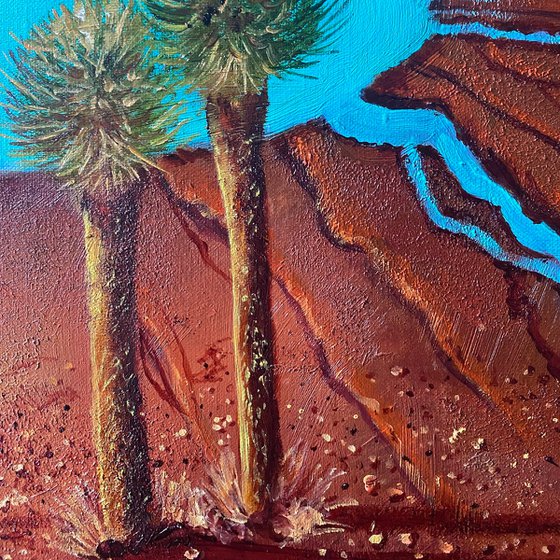 Grass Trees of the Outback